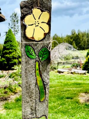 Yellow Flower on Wood