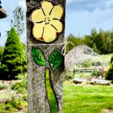 Yellow Flower on Wood