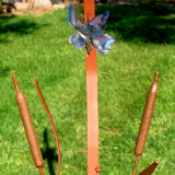 Cattails and Butterfly