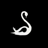 Swan