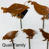 Quail Family