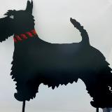 Black Scottie