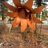 Large Sunflower