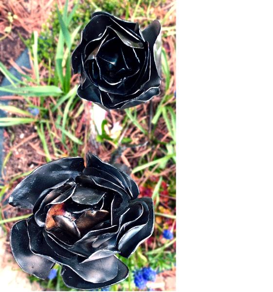 Steel Roses