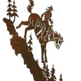 Downhill Rider