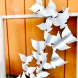 Framed Flying Birds
