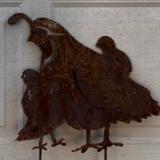 Quail Family 3